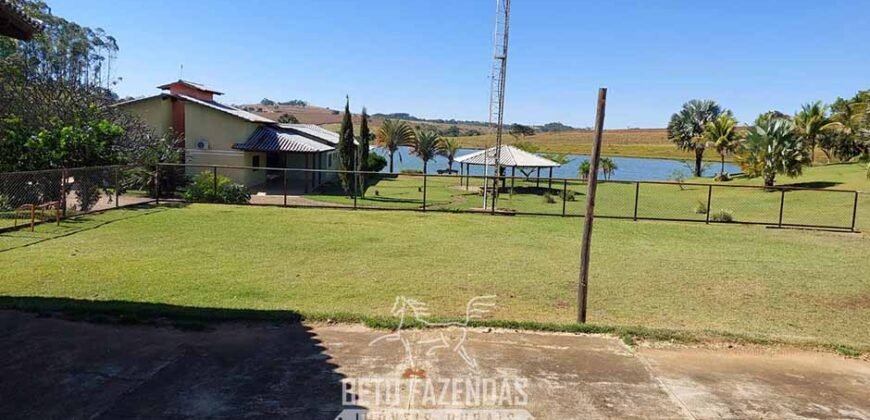 Fazenda à venda 407 alqueires Produtiva | São Miguel do Passa Quatro/ GO