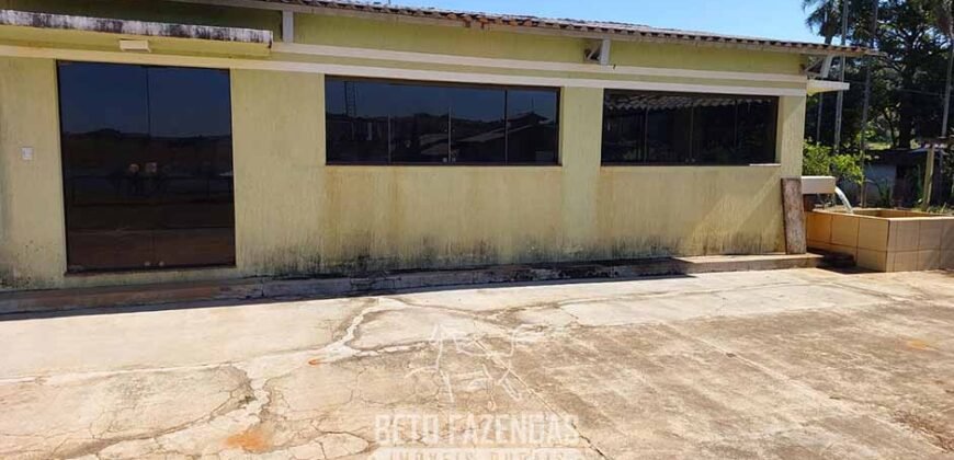 Fazenda à venda 407 alqueires Produtiva | São Miguel do Passa Quatro/ GO