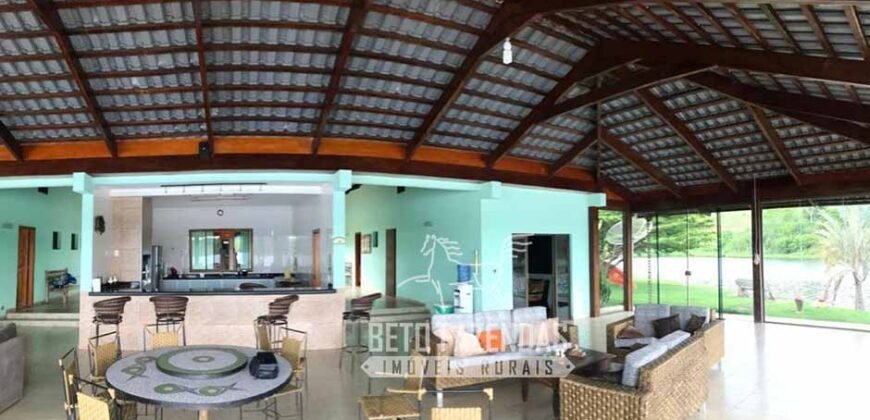 Fazenda à venda 407 alqueires Produtiva | São Miguel do Passa Quatro/ GO