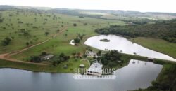 Fazenda à venda 407 alqueires Produtiva | São Miguel do Passa Quatro/ GO