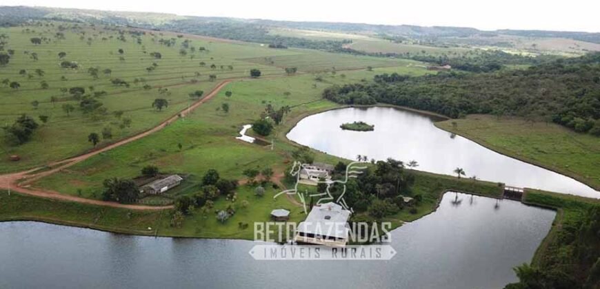 Fazenda à venda 407 alqueires Produtiva | São Miguel do Passa Quatro/ GO