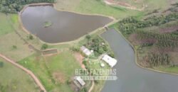 Fazenda à venda 407 alqueires Produtiva | São Miguel do Passa Quatro/ GO