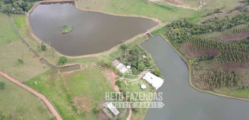 Fazenda à venda 407 alqueires Produtiva | São Miguel do Passa Quatro/ GO