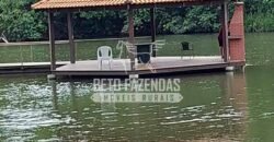 Fazenda à venda 407 alqueires Produtiva | São Miguel do Passa Quatro/ GO