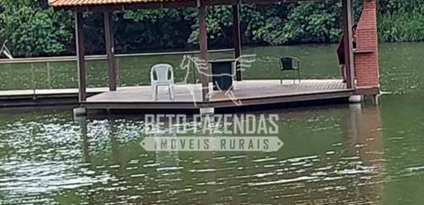 Fazenda à venda 407 alqueires Produtiva | São Miguel do Passa Quatro/ GO