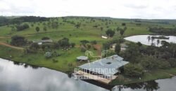 Fazenda à venda 407 alqueires Produtiva | São Miguel do Passa Quatro/ GO