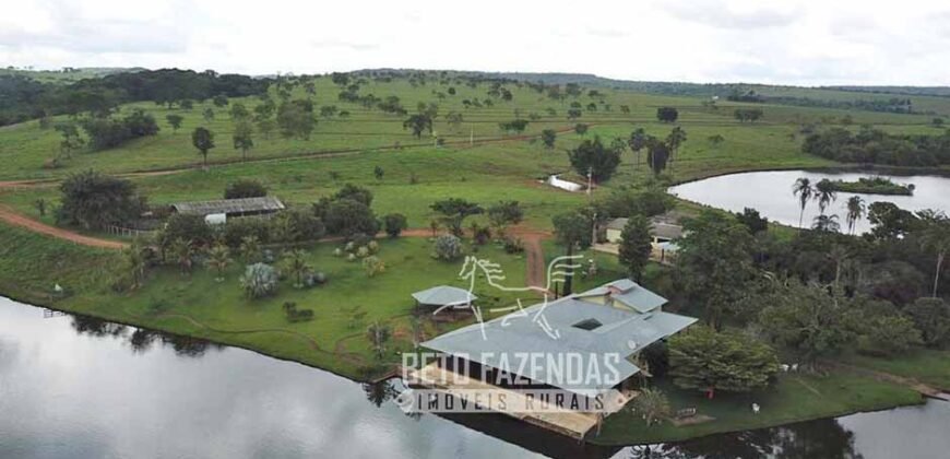 Fazenda à venda 407 alqueires Produtiva | São Miguel do Passa Quatro/ GO
