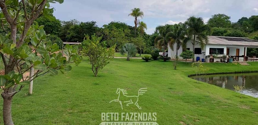 Fazenda à venda 407 alqueires Produtiva | São Miguel do Passa Quatro/ GO