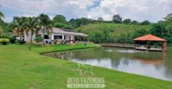 Fazenda à venda 407 alqueires Produtiva | São Miguel do Passa Quatro/ GO