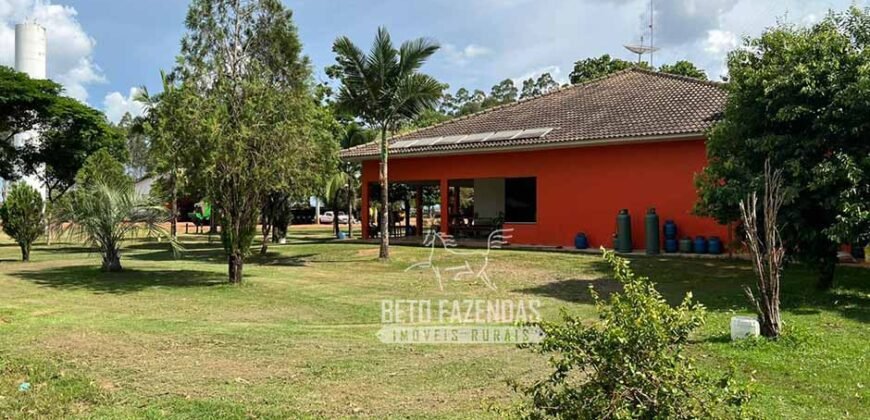 Oportunidade Única! Fazenda Produtiva 2.436 ha | Nova Mutum/MT Oportunidade Única! Fazenda Produtiva 2.436 ha | Nova Mutum/MT