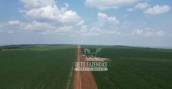 Oportunidade Única! Fazenda Produtiva 2.436 ha | Nova Mutum/MT Oportunidade Única! Fazenda Produtiva 2.436 ha | Nova Mutum/MT