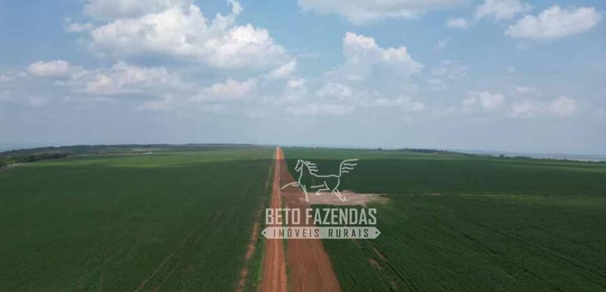 Oportunidade Única! Fazenda Produtiva 2.436 ha | Nova Mutum/MT Oportunidade Única! Fazenda Produtiva 2.436 ha | Nova Mutum/MT