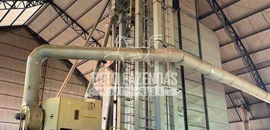 Oportunidade Única! Fazenda Produtiva 2.436 ha | Nova Mutum/MT Oportunidade Única! Fazenda Produtiva 2.436 ha | Nova Mutum/MT