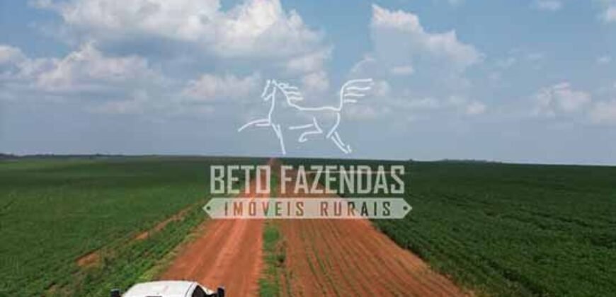 Oportunidade Única! Fazenda Produtiva 2.436 ha | Nova Mutum/MT Oportunidade Única! Fazenda Produtiva 2.436 ha | Nova Mutum/MT