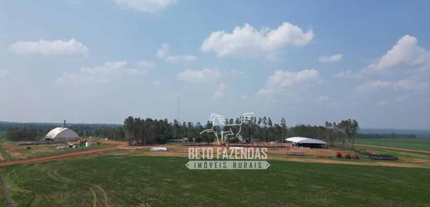 Oportunidade Única! Fazenda Produtiva 2.436 ha | Nova Mutum/MT Oportunidade Única! Fazenda Produtiva 2.436 ha | Nova Mutum/MT