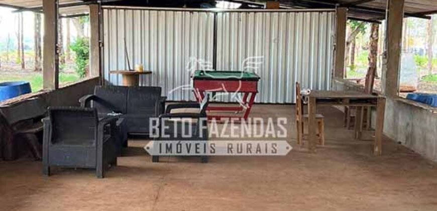 Oportunidade Única! Fazenda Produtiva 2.436 ha | Nova Mutum/MT Oportunidade Única! Fazenda Produtiva 2.436 ha | Nova Mutum/MT