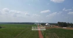 Oportunidade Única! Fazenda Produtiva 2.436 ha | Nova Mutum/MT Oportunidade Única! Fazenda Produtiva 2.436 ha | Nova Mutum/MT