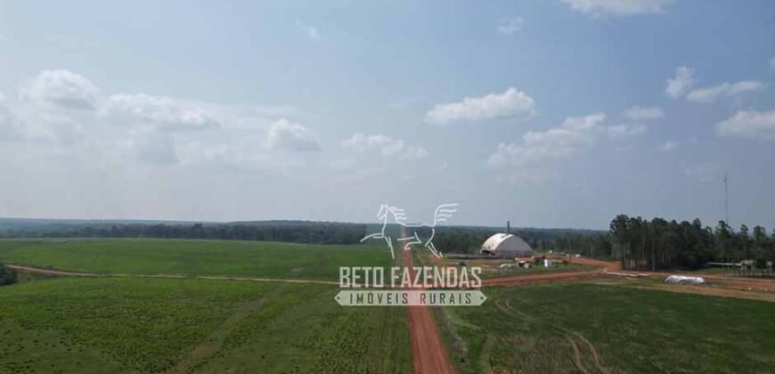 Oportunidade Única! Fazenda Produtiva 2.436 ha | Nova Mutum/MT Oportunidade Única! Fazenda Produtiva 2.436 ha | Nova Mutum/MT