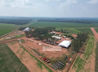 Oportunidade Única! Fazenda Produtiva 2.436 ha | Nova Mutum/MT Oportunidade Única! Fazenda Produtiva 2.436 ha | Nova Mutum/MT