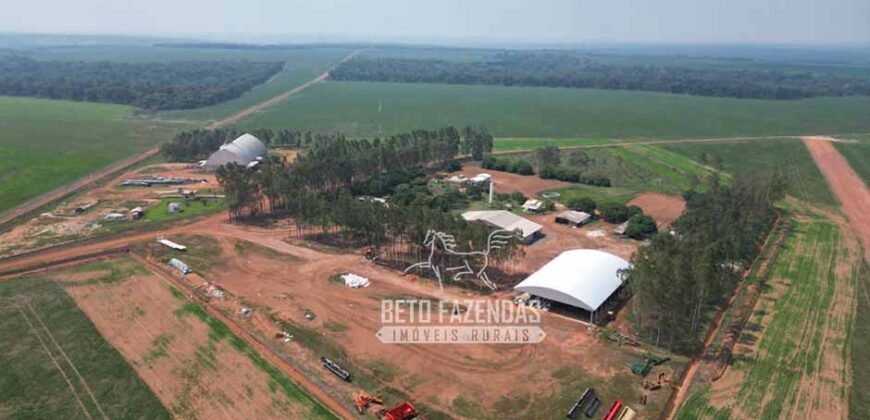 Oportunidade Única! Fazenda Produtiva 2.436 ha | Nova Mutum/MT Oportunidade Única! Fazenda Produtiva 2.436 ha | Nova Mutum/MT