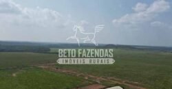 Oportunidade Única! Fazenda Produtiva 2.436 ha | Nova Mutum/MT Oportunidade Única! Fazenda Produtiva 2.436 ha | Nova Mutum/MT