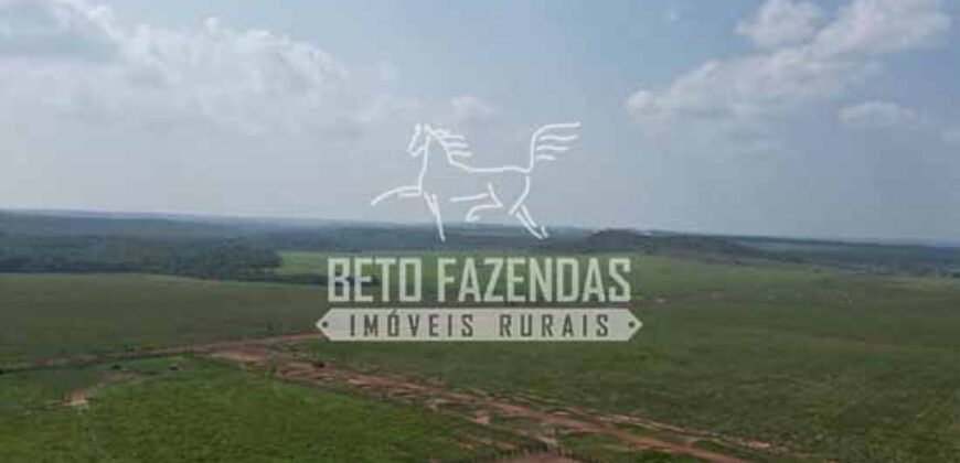 Oportunidade Única! Fazenda Produtiva 2.436 ha | Nova Mutum/MT Oportunidade Única! Fazenda Produtiva 2.436 ha | Nova Mutum/MT