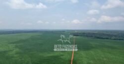 Oportunidade Única! Fazenda Produtiva 2.436 ha | Nova Mutum/MT Oportunidade Única! Fazenda Produtiva 2.436 ha | Nova Mutum/MT