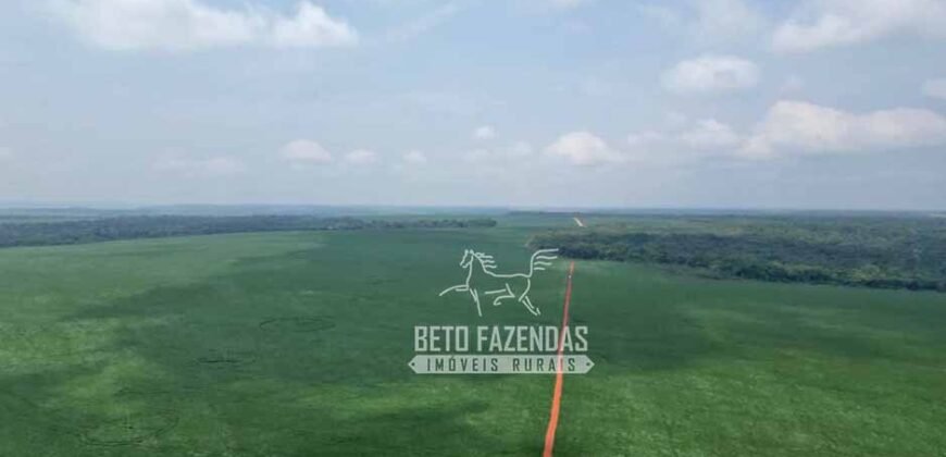 Oportunidade Única! Fazenda Produtiva 2.436 ha | Nova Mutum/MT Oportunidade Única! Fazenda Produtiva 2.436 ha | Nova Mutum/MT