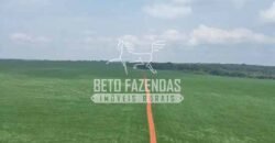 Oportunidade Única! Fazenda Produtiva 2.436 ha | Nova Mutum/MT Oportunidade Única! Fazenda Produtiva 2.436 ha | Nova Mutum/MT