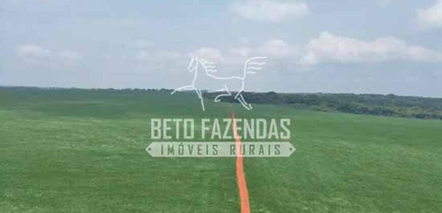 Oportunidade Única! Fazenda Produtiva 2.436 ha | Nova Mutum/MT Oportunidade Única! Fazenda Produtiva 2.436 ha | Nova Mutum/MT
