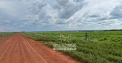 Oportunidade Única! Fazenda Produtiva 2.436 ha | Nova Mutum/MT Oportunidade Única! Fazenda Produtiva 2.436 ha | Nova Mutum/MT