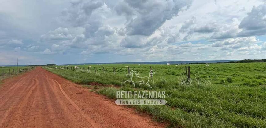 Oportunidade Única! Fazenda Produtiva 2.436 ha | Nova Mutum/MT Oportunidade Única! Fazenda Produtiva 2.436 ha | Nova Mutum/MT