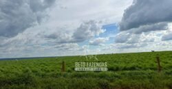 Oportunidade Única! Fazenda Produtiva 2.436 ha | Nova Mutum/MT Oportunidade Única! Fazenda Produtiva 2.436 ha | Nova Mutum/MT