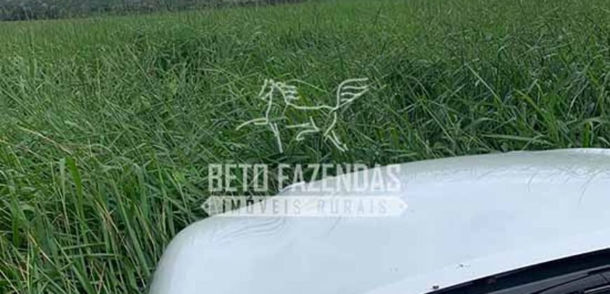 Fazenda à Venda 1.800 hectares Potencial Agrícola | Barra do Garças/MT Fazenda à Venda 1.800 hectares Potencial Agrícola | Barra do Garças/MT