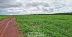 Fazenda à Venda 1.800 hectares Potencial Agrícola | Barra do Garças/MT Fazenda à Venda 1.800 hectares Potencial Agrícola | Barra do Garças/MT