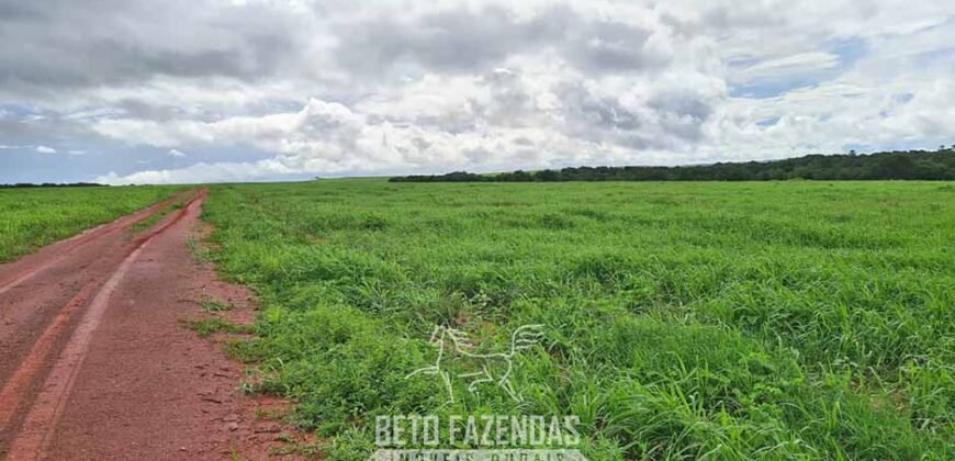 Fazenda à Venda 1.800 hectares Potencial Agrícola | Barra do Garças/MT Fazenda à Venda 1.800 hectares Potencial Agrícola | Barra do Garças/MT