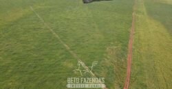 Fazenda à Venda 1.800 hectares Potencial Agrícola | Barra do Garças/MT Fazenda à Venda 1.800 hectares Potencial Agrícola | Barra do Garças/MT