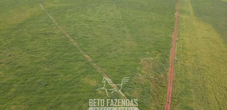 Fazenda à Venda 1.800 hectares Potencial Agrícola | Barra do Garças/MT Fazenda à Venda 1.800 hectares Potencial Agrícola | Barra do Garças/MT