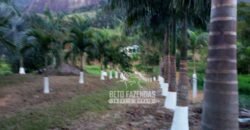 Venda de Lindo Sítio com 10 hectares Paraíso na Serra da Cruz | Macaé/RJ Venda de Lindo Sítio com 10 hectares Paraíso na Serra da Cruz | Macaé/RJ