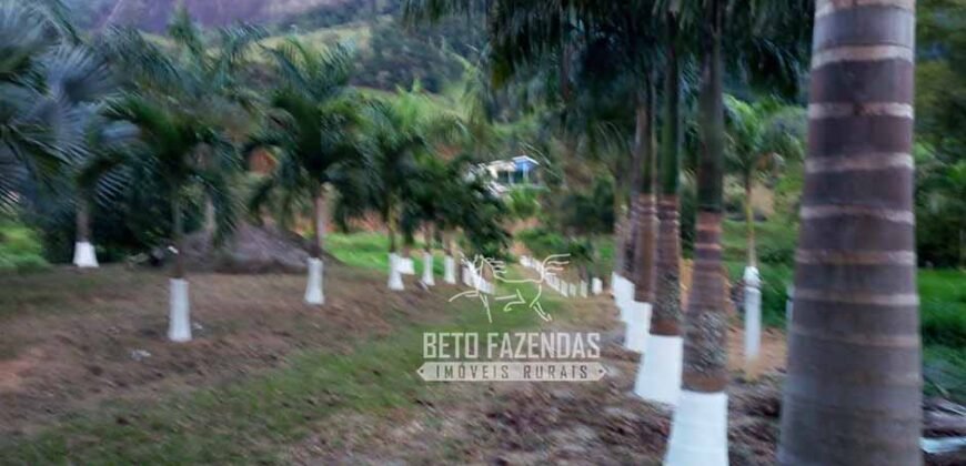 Venda de Lindo Sítio com 10 hectares Paraíso na Serra da Cruz | Macaé/RJ Venda de Lindo Sítio com 10 hectares Paraíso na Serra da Cruz | Macaé/RJ