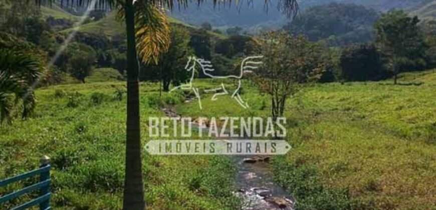 Venda de Lindo Sítio com 10 hectares Paraíso na Serra da Cruz | Macaé/RJ Venda de Lindo Sítio com 10 hectares Paraíso na Serra da Cruz | Macaé/RJ