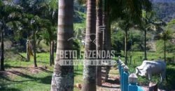 Venda de Lindo Sítio com 10 hectares Paraíso na Serra da Cruz | Macaé/RJ Venda de Lindo Sítio com 10 hectares Paraíso na Serra da Cruz | Macaé/RJ