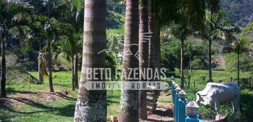 Venda de Lindo Sítio com 10 hectares Paraíso na Serra da Cruz | Macaé/RJ Venda de Lindo Sítio com 10 hectares Paraíso na Serra da Cruz | Macaé/RJ