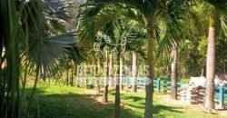 Venda de Lindo Sítio com 10 hectares Paraíso na Serra da Cruz | Macaé/RJ Venda de Lindo Sítio com 10 hectares Paraíso na Serra da Cruz | Macaé/RJ