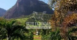 Venda de Lindo Sítio com 10 hectares Paraíso na Serra da Cruz | Macaé/RJ Venda de Lindo Sítio com 10 hectares Paraíso na Serra da Cruz | Macaé/RJ