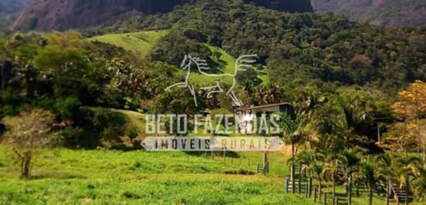 Venda de Lindo Sítio com 10 hectares Paraíso na Serra da Cruz | Macaé/RJ Venda de Lindo Sítio com 10 hectares Paraíso na Serra da Cruz | Macaé/RJ