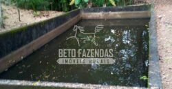 Venda de Lindo Sítio com 10 hectares Paraíso na Serra da Cruz | Macaé/RJ Venda de Lindo Sítio com 10 hectares Paraíso na Serra da Cruz | Macaé/RJ