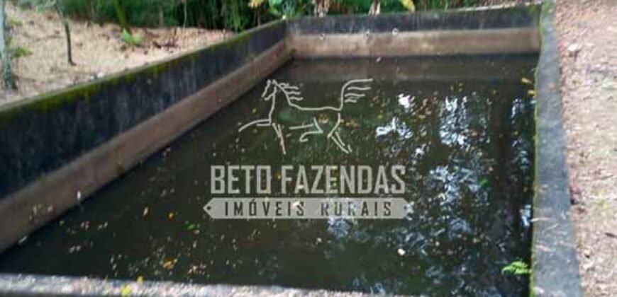 Venda de Lindo Sítio com 10 hectares Paraíso na Serra da Cruz | Macaé/RJ Venda de Lindo Sítio com 10 hectares Paraíso na Serra da Cruz | Macaé/RJ