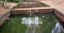 Venda de Lindo Sítio com 10 hectares Paraíso na Serra da Cruz | Macaé/RJ Venda de Lindo Sítio com 10 hectares Paraíso na Serra da Cruz | Macaé/RJ