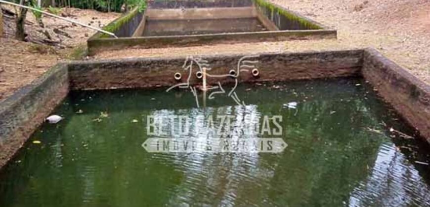 Venda de Lindo Sítio com 10 hectares Paraíso na Serra da Cruz | Macaé/RJ Venda de Lindo Sítio com 10 hectares Paraíso na Serra da Cruz | Macaé/RJ